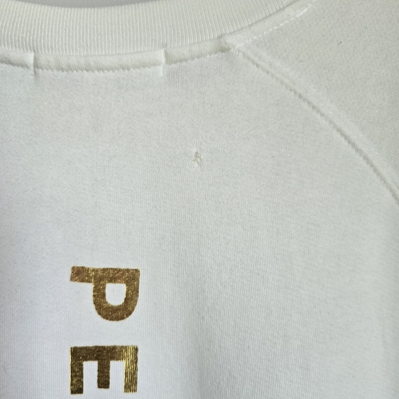 Spiritual Gangster x Peleton New Crew Rainbow Stripe Classic Sweatshirt SZ XL - Picture 10 of 11